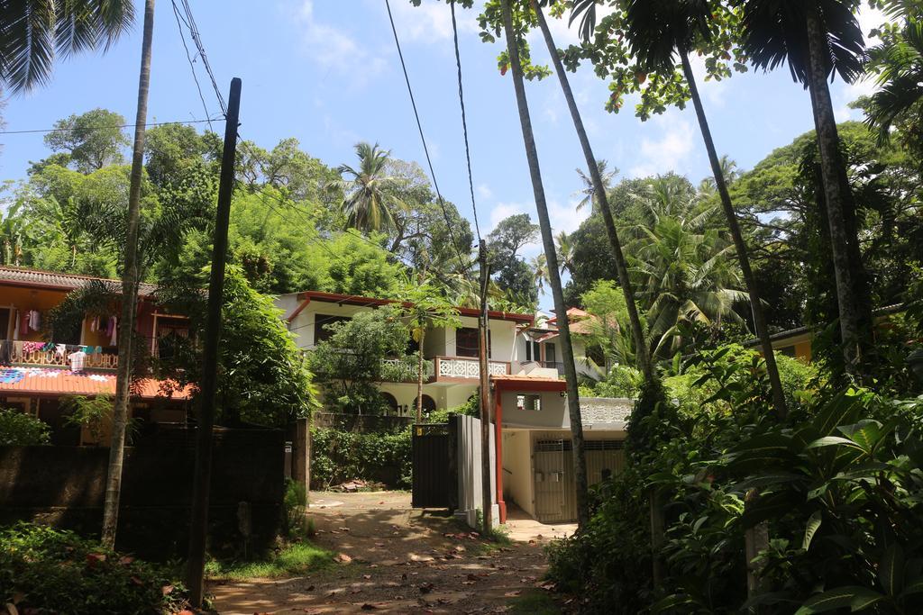 Jungle Guest House Galle Eksteriør bilde